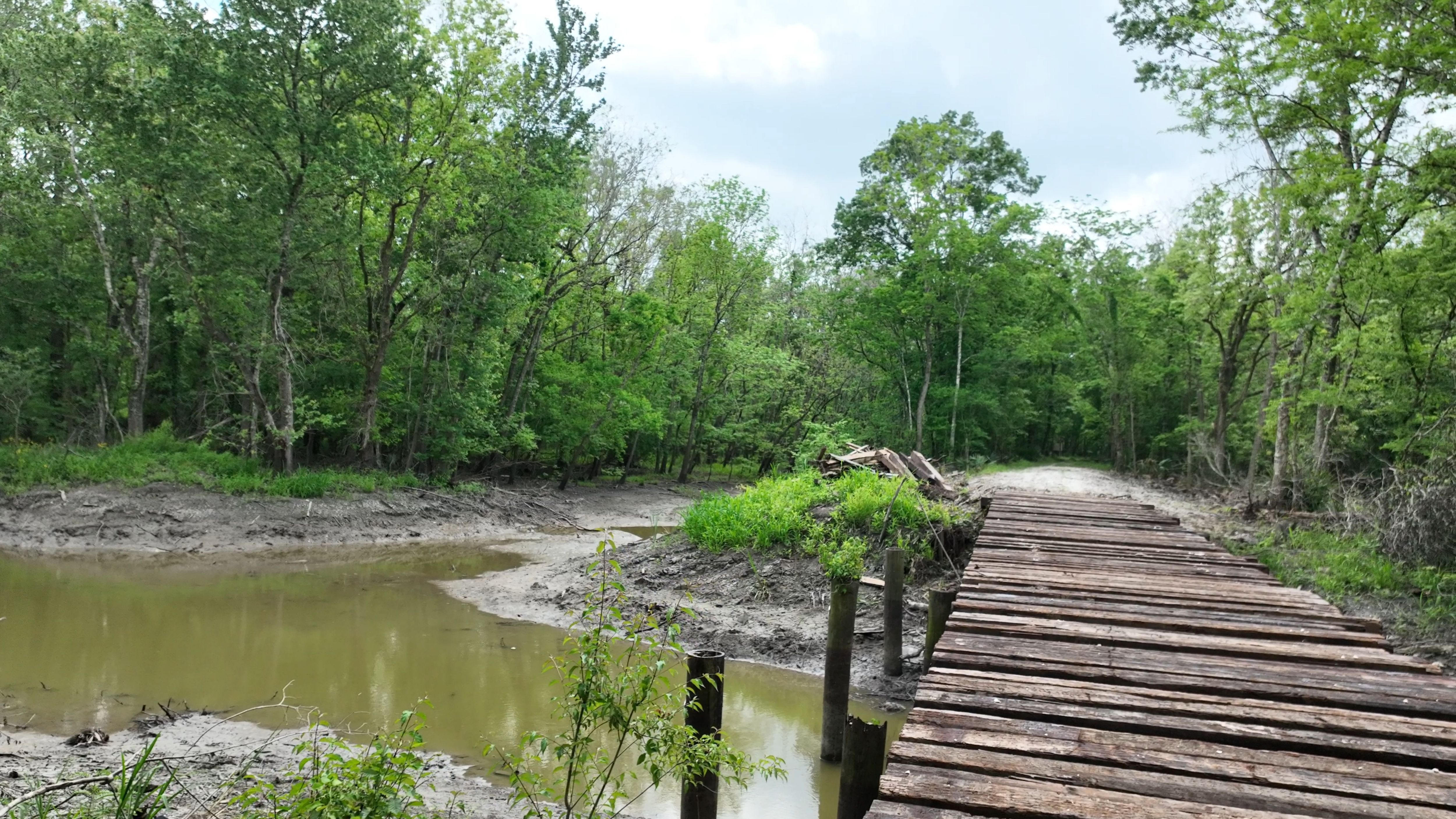 Listing Photo: Iberville Parish creek hunting land